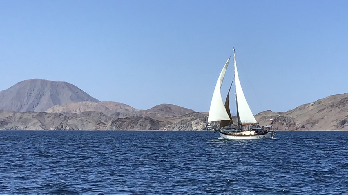 Brisa navegando en Bahía de los Ángeles, foto por Diane en el velero Dolce