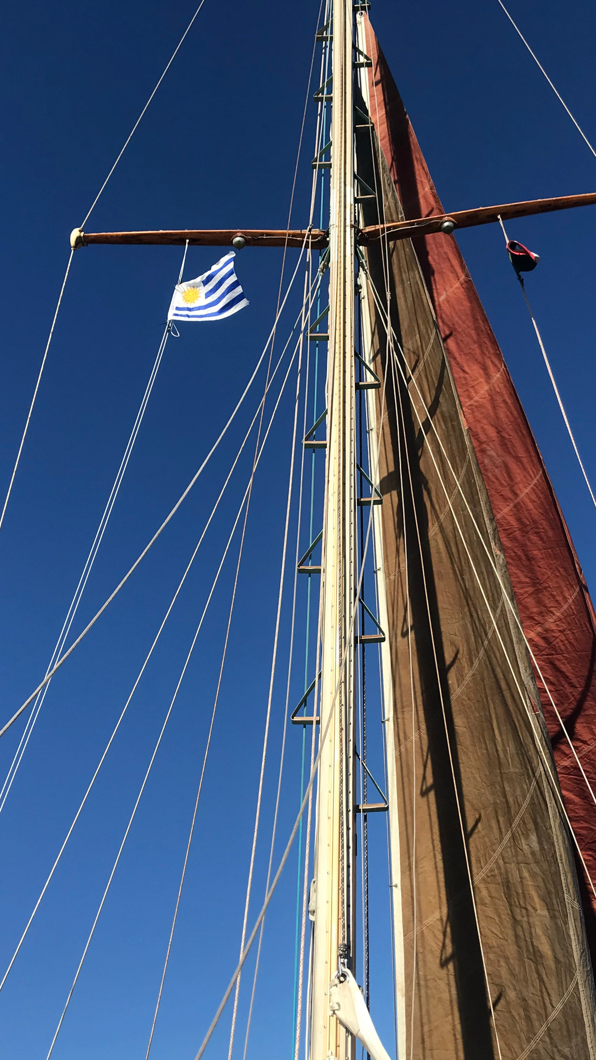 bandera uruguaya volando con brisa