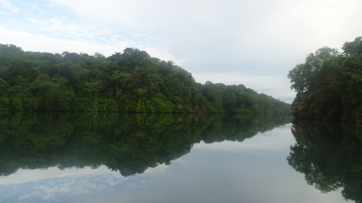 Río Chagres glaseado, con selva