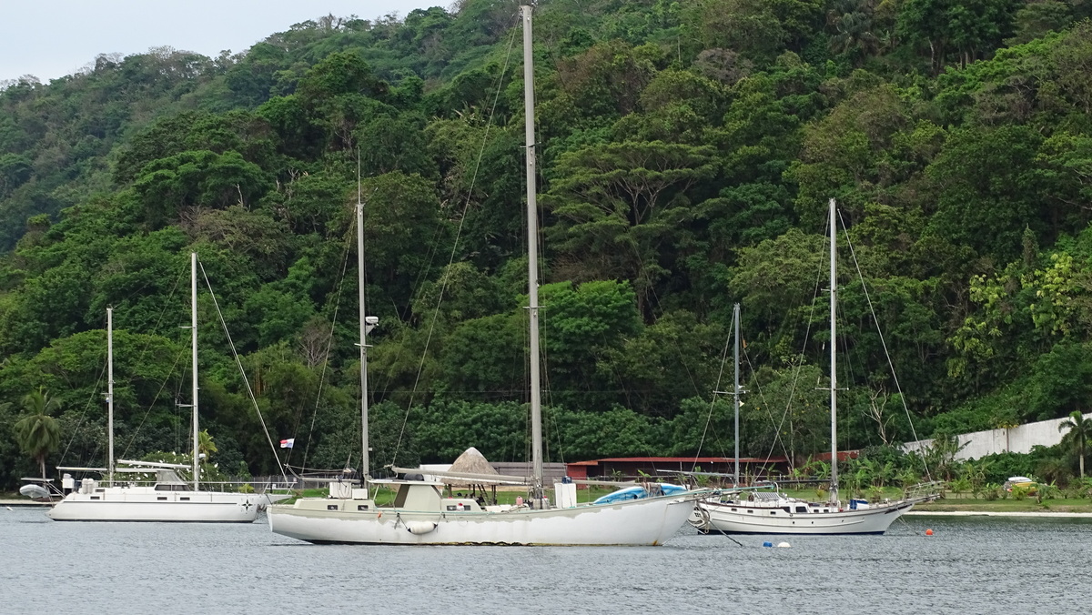 Galeras en Bahía Lindo