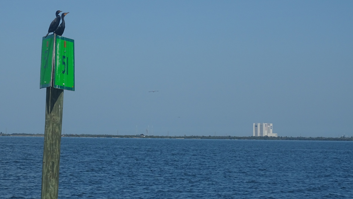 Dos Pelicanos y el edificio de montaje de cohetes, KSC, EE.UU