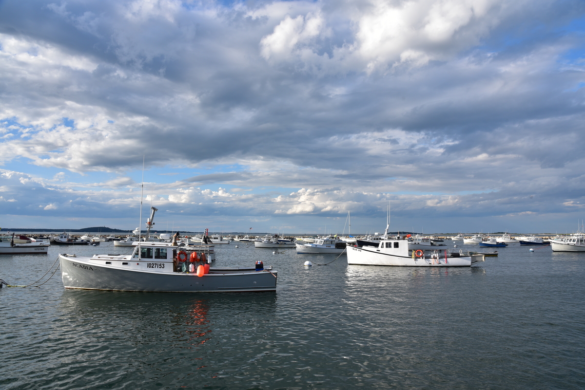 Botes de pesca en el fondeadero de la Bahía Plymouth