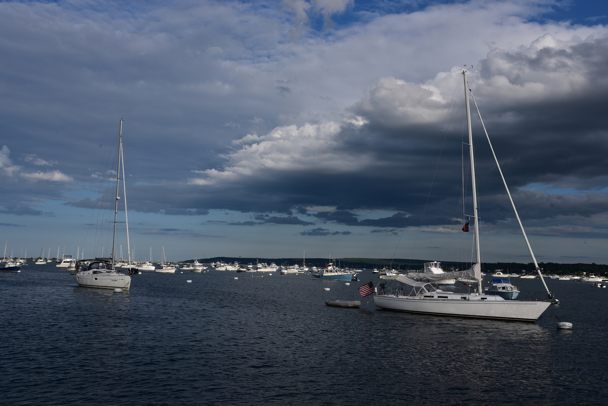 Botes de vela en el fondeadero de la Bahía Plymouth