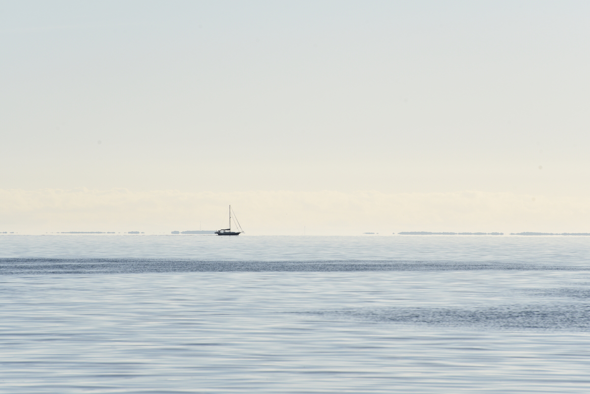 Velero en la Bahía Chesapeake