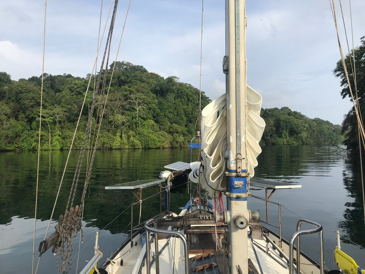 Looking down the Chagres River, Panama from on deck of Brisa