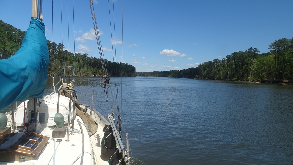Looking at the Virginia Cut of the ICW from on deck of Brisa