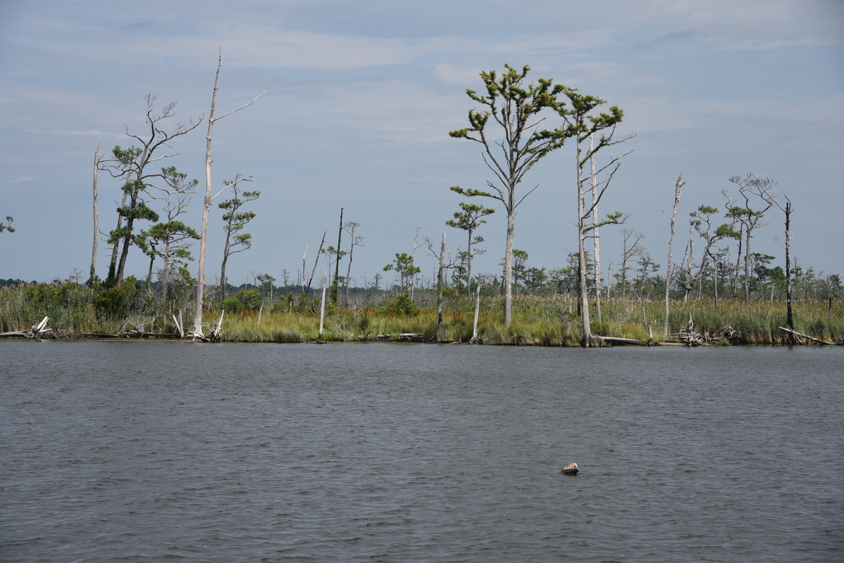 Orrilla del Río Norte con boya de caladero