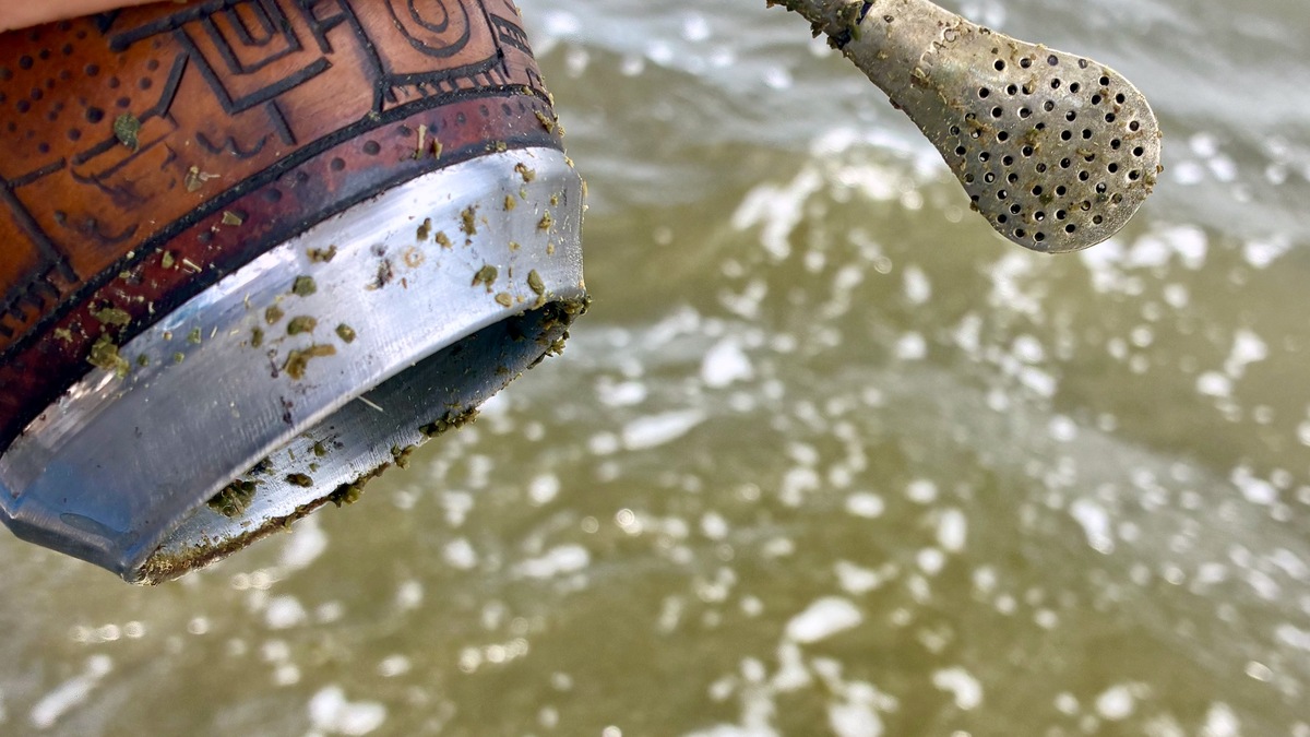 Yerba en el Río Alligator
