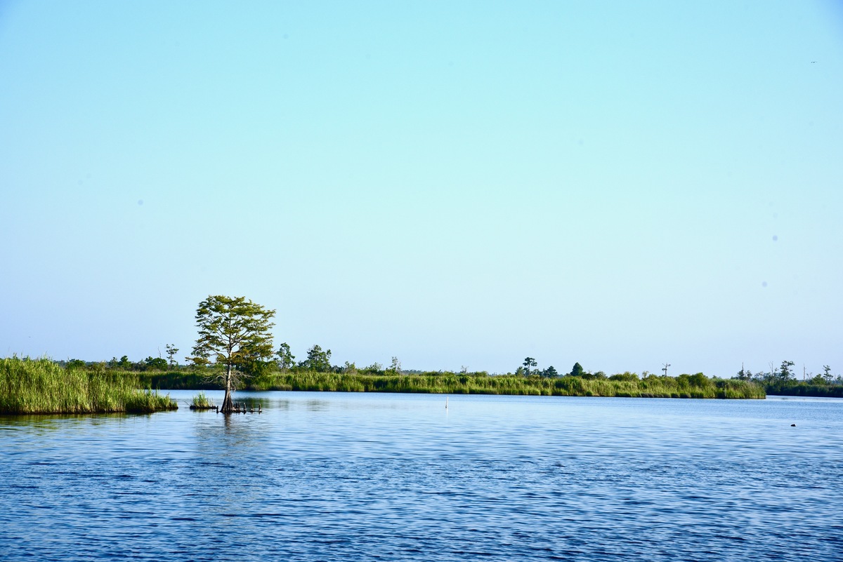 description