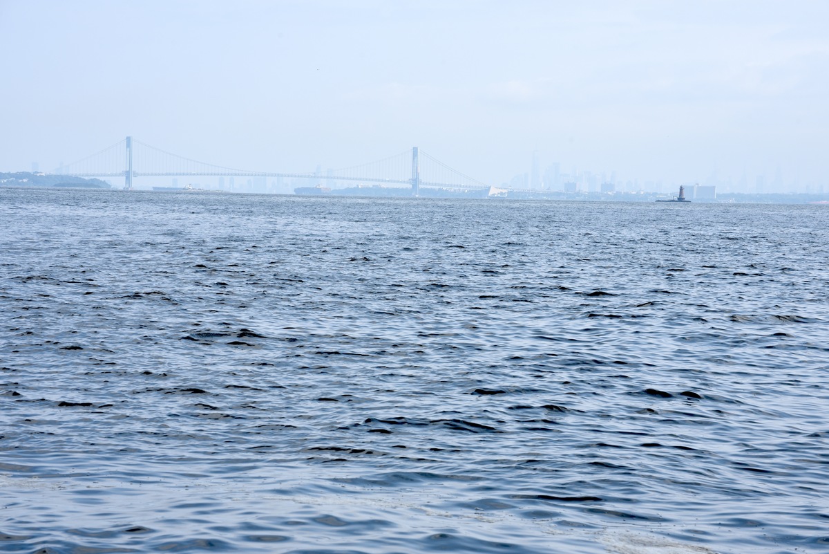 Vista al norte desde el canal Chapel Hill en la bahía inferior de Nueva York
