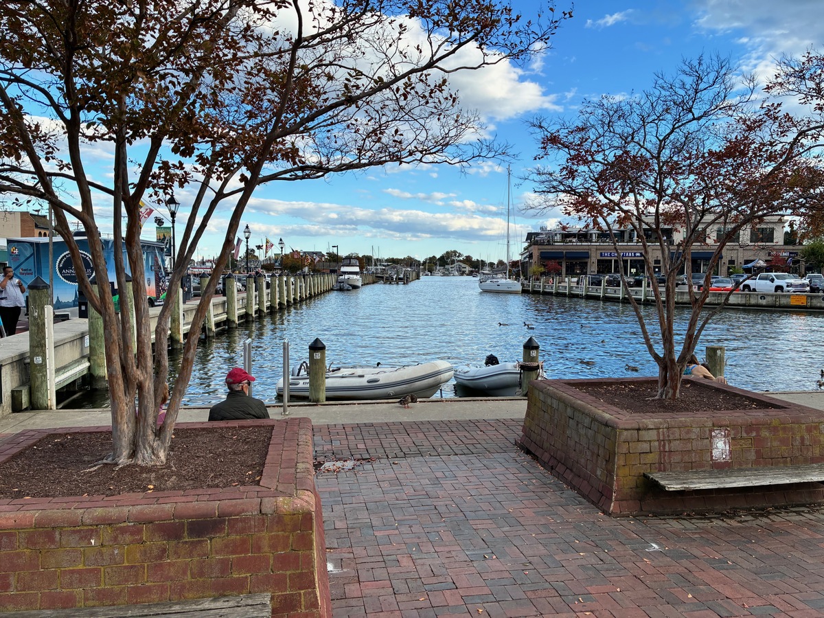 El atraque de botes al final de Ego Alley