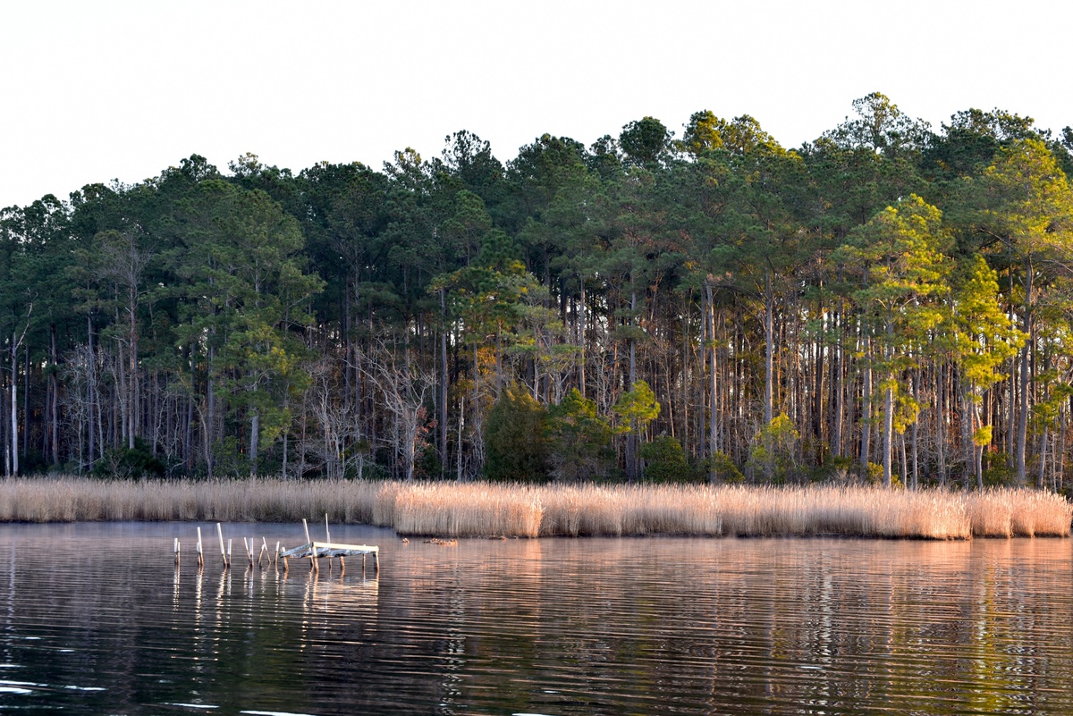 refugio abandonado para cazar patos, río Pungo