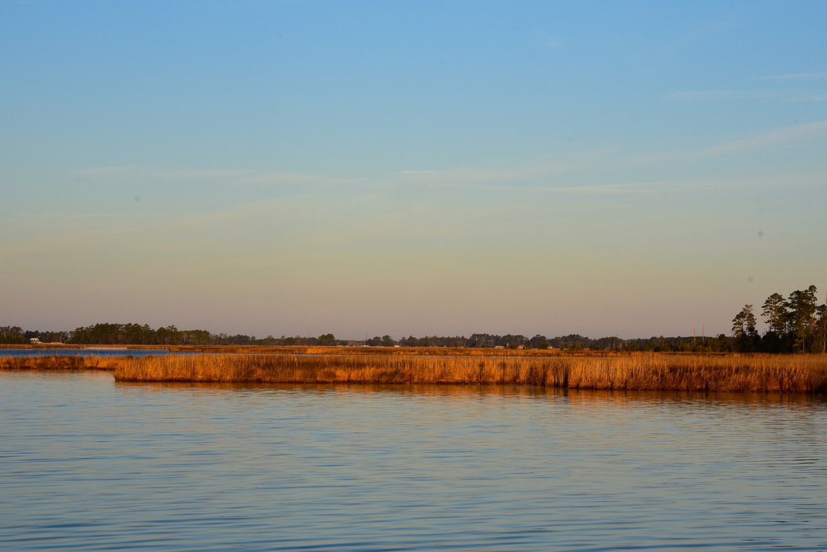 humedales, río Pungo