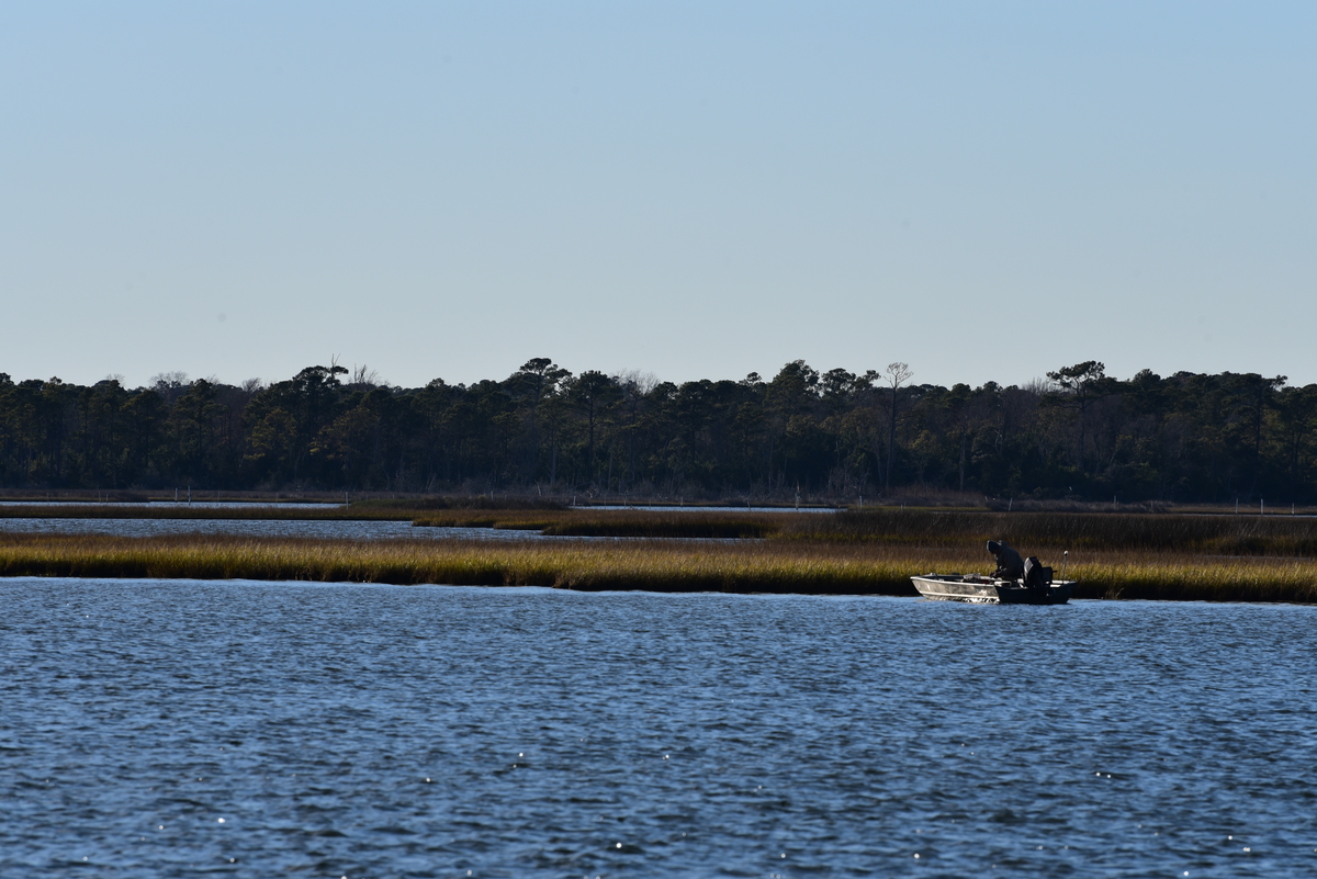 pescadores deportivos disfrutando de los humedales